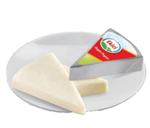 EKİCİ  YAĞLI  ÜÇGEN  PEYNİR 12,5 GR / 18 GR